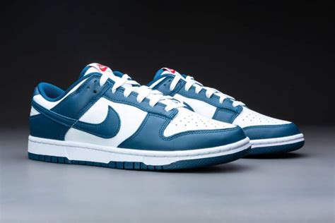 dunks low blauw